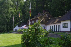 IMGP5725